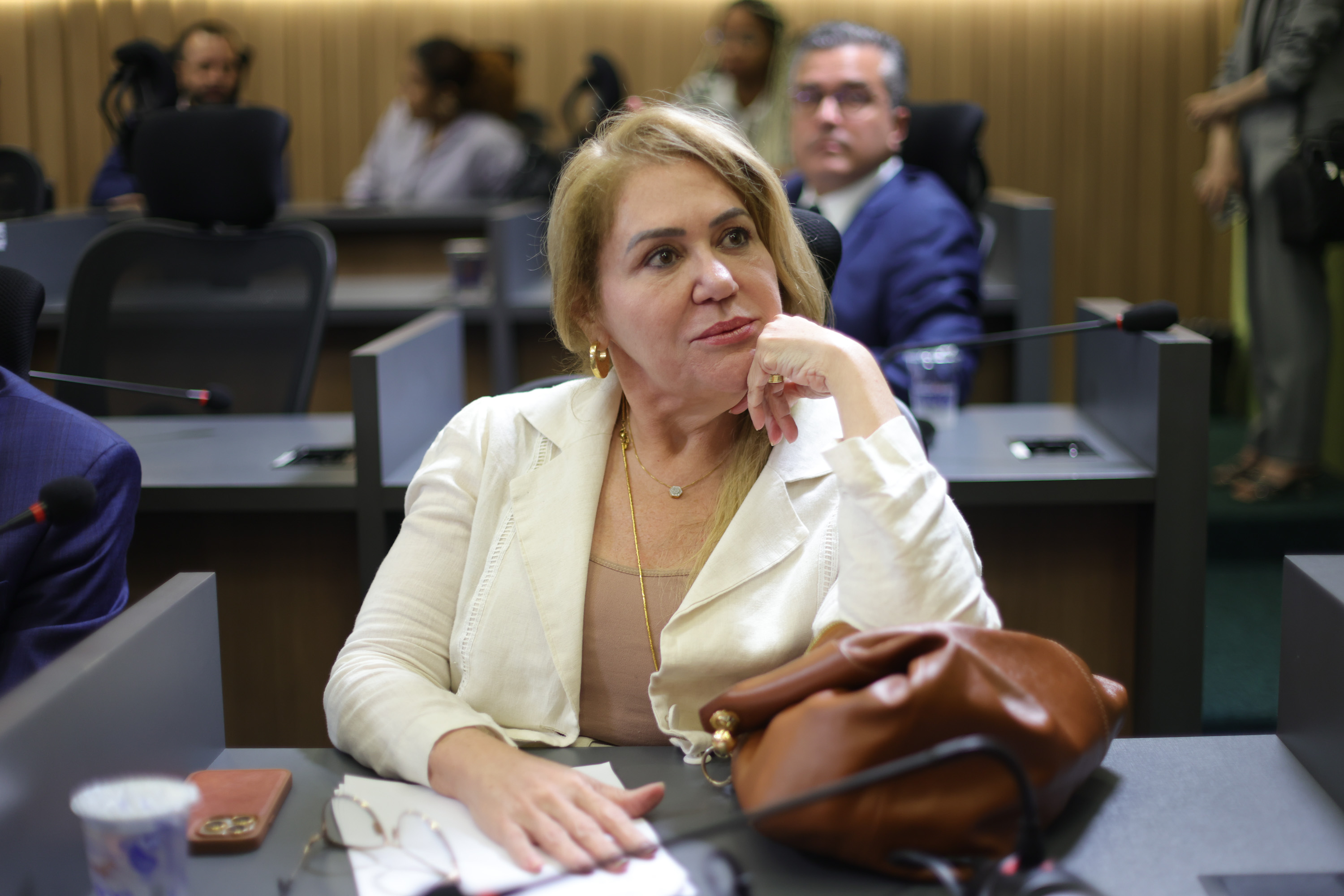 REUNIÃO DE COMISSÕES - FOTOS REGIS FALCÃO ASCOM ALEPI  (47).jpg