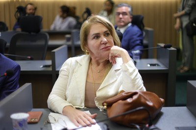 REUNIÃO DE COMISSÕES - FOTOS REGIS FALCÃO ASCOM ALEPI  (47).jpg