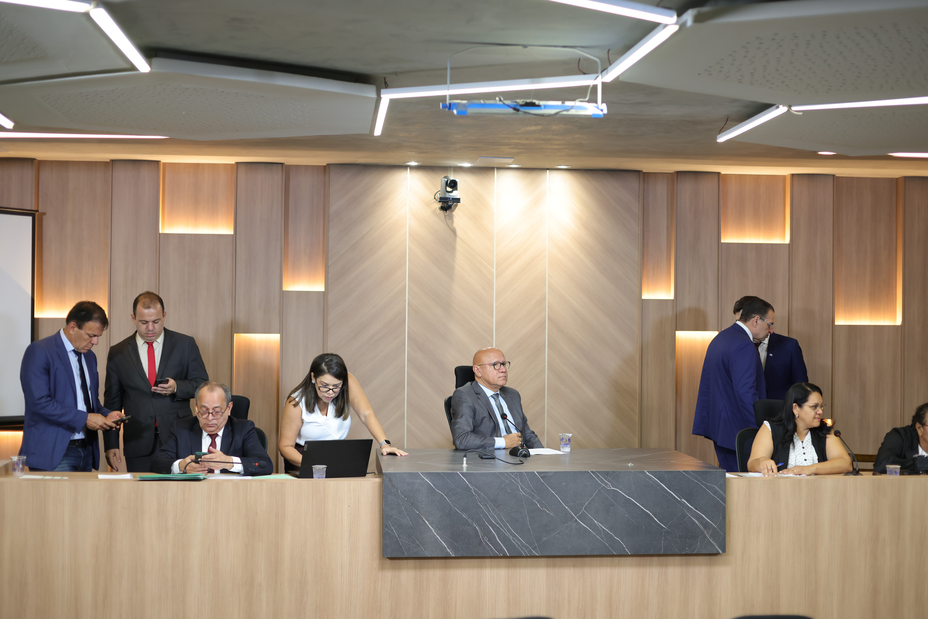 REUNIÃO DE COMISSÕES - FOTOS REGIS FALCÃO ASCOM ALEPI  (63).jpg