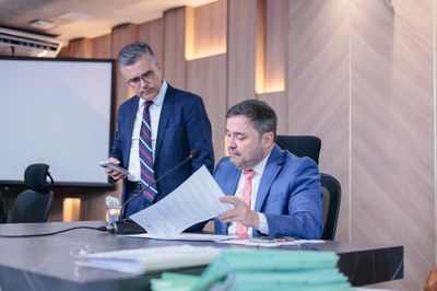 REUNIÃO DAS COMISSÕES CONJUNTAS (14).jpg