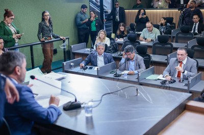 REUNIÃO DAS COMISSÕES CONJUNTAS (16).jpg