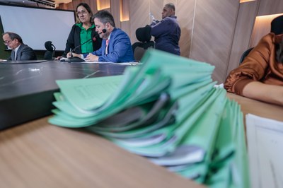 REUNIÃO DAS COMISSÕES CONJUNTAS (2).jpg