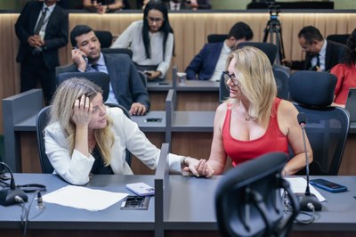 REUNIÃO DAS COMISSÕES CONJUNTAS (20).jpg