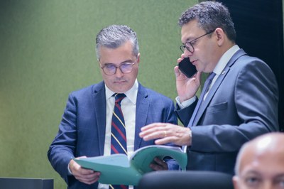 REUNIÃO DAS COMISSÕES CONJUNTAS (25).jpg