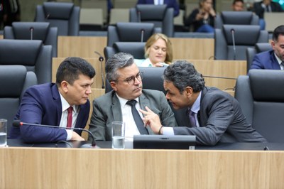 Plenario 11.02.2024-1 11.JPG