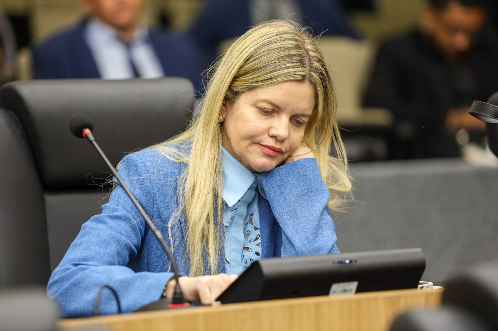 Plenario 11.02.2024-1 15.JPG