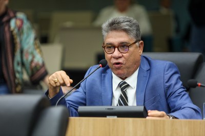 Plenario 11.02.2024-1 4.JPG