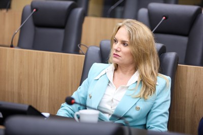 Plenario 11.02.2024-1 7.JPG