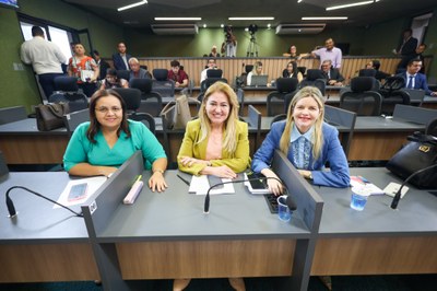 Reuniao das comissões conjuntas 11.02.2024-1.JPG