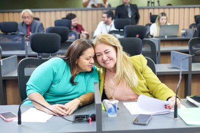 Reuniao das comissões conjuntas 11.02.202410 .JPG