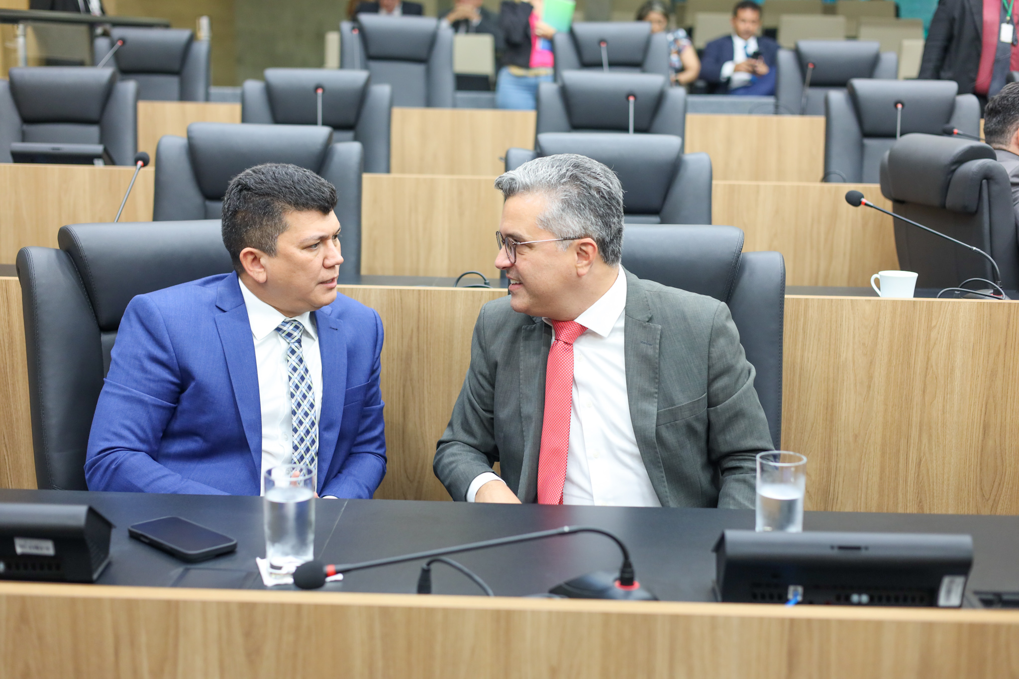 Plenário 12.02.2025-1 9.JPG