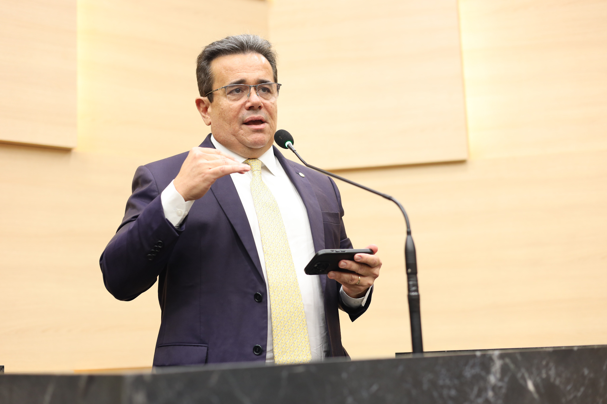 Plenário 17.02.2025 Henrique Pires  (1).jpg