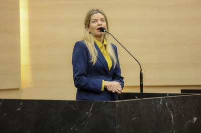 PLENÁRIO 18.02.2025-15.jpg