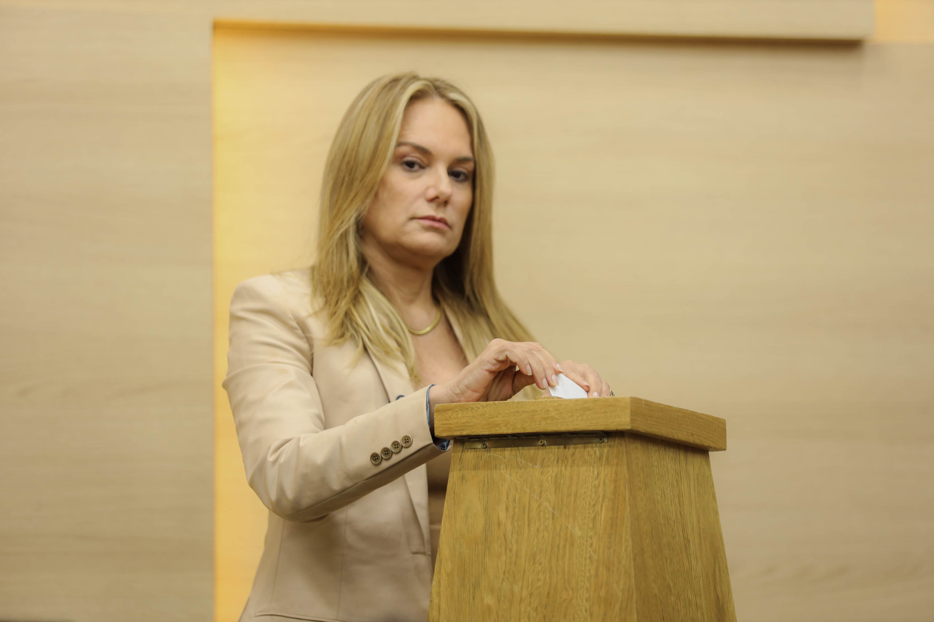 ELEIÇÃO DE SEC DA MESA DIRETORA E PLENÁRIO-23.jpg