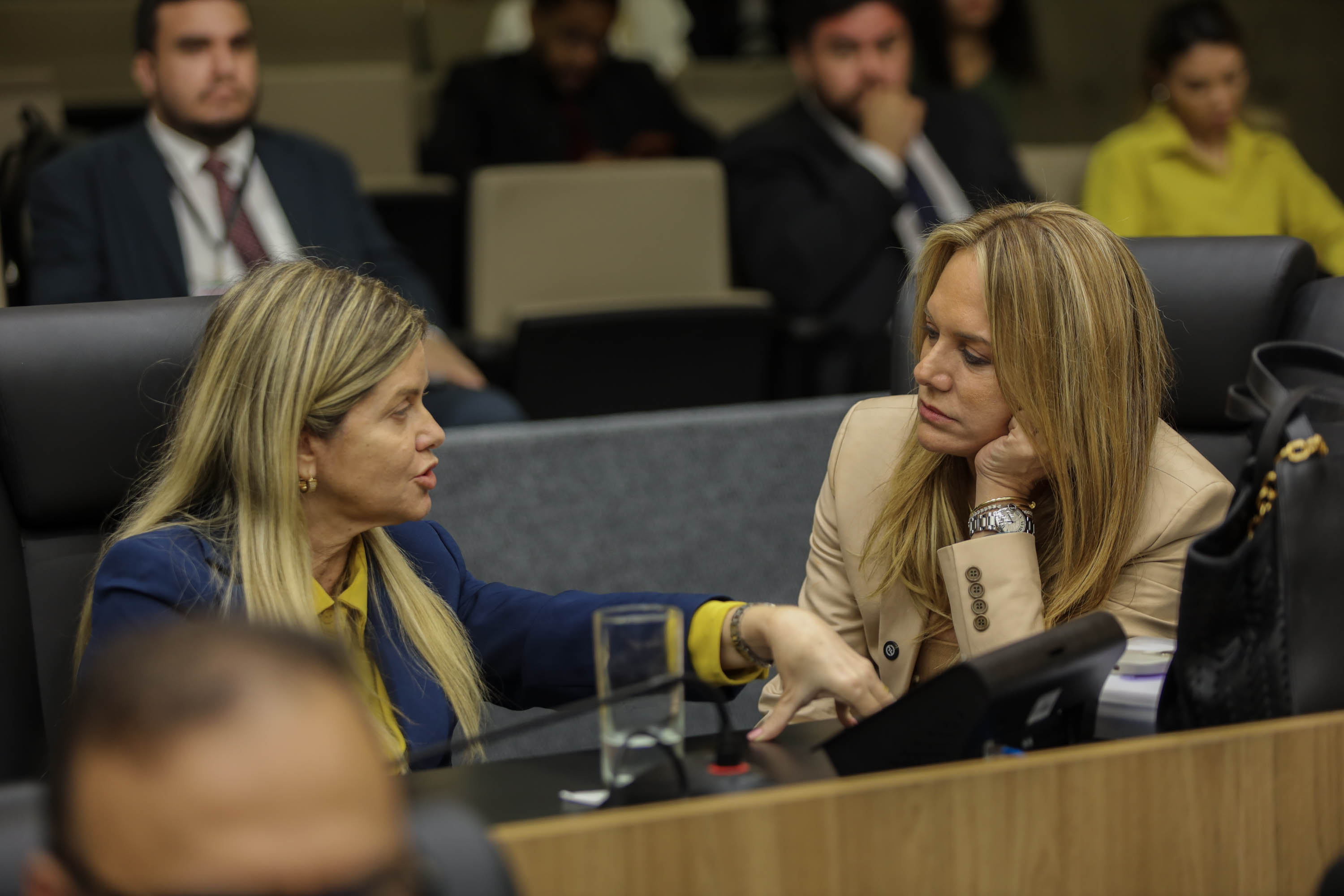 ELEIÇÃO DE SEC DA MESA DIRETORA E PLENÁRIO-26.jpg