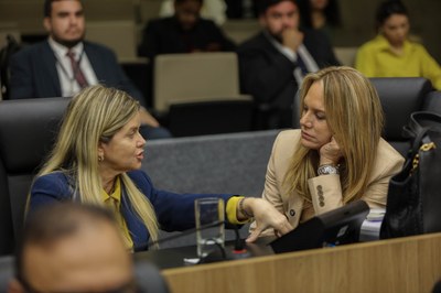 ELEIÇÃO DE SEC DA MESA DIRETORA E PLENÁRIO-26.jpg
