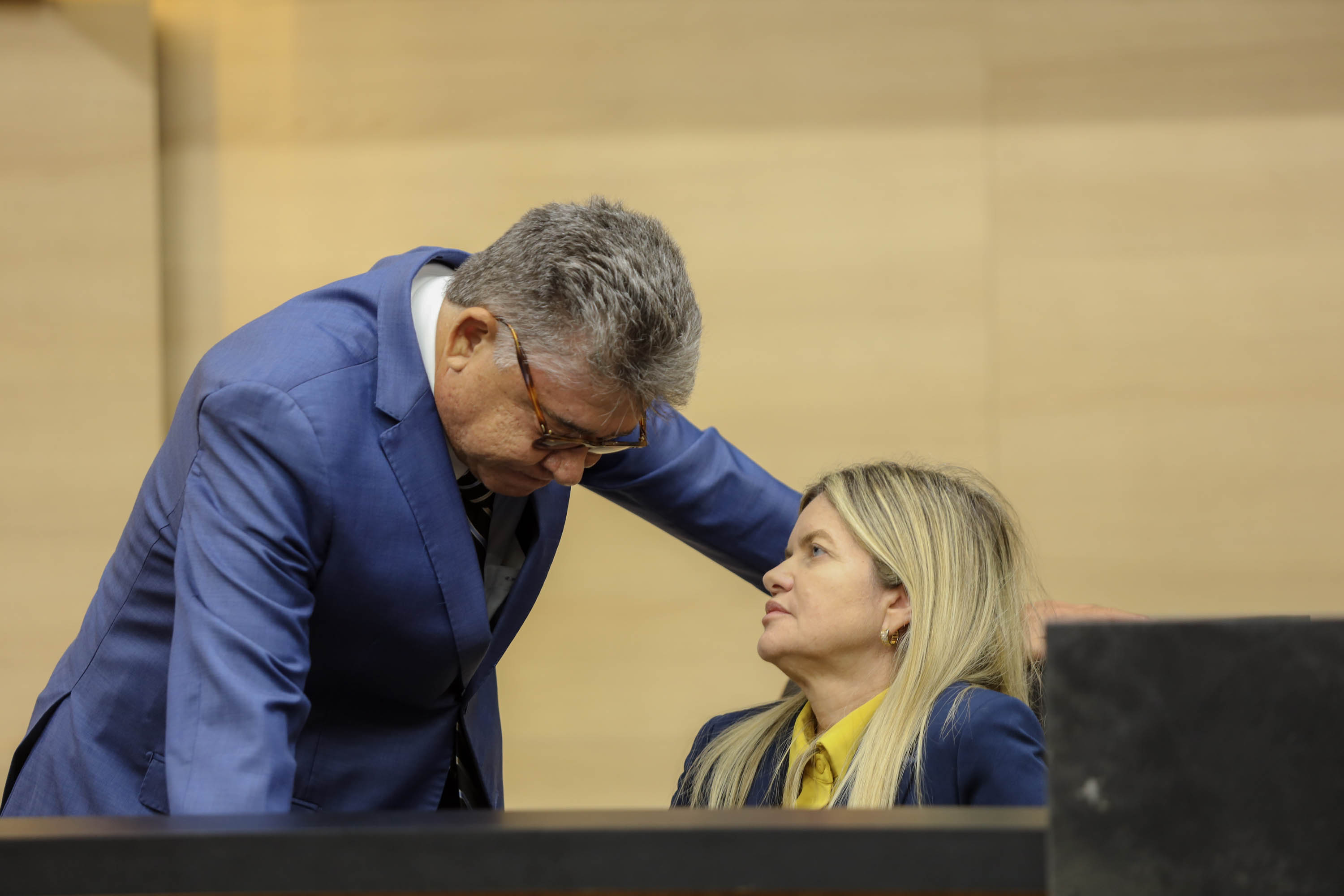 PLENÁRIO 18.02.2025-4.jpg