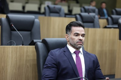 IMAGENS DO DIA 20022025 SESSÃO ORDINÁRIA DEPUTADO B.SÁ (2).jpg