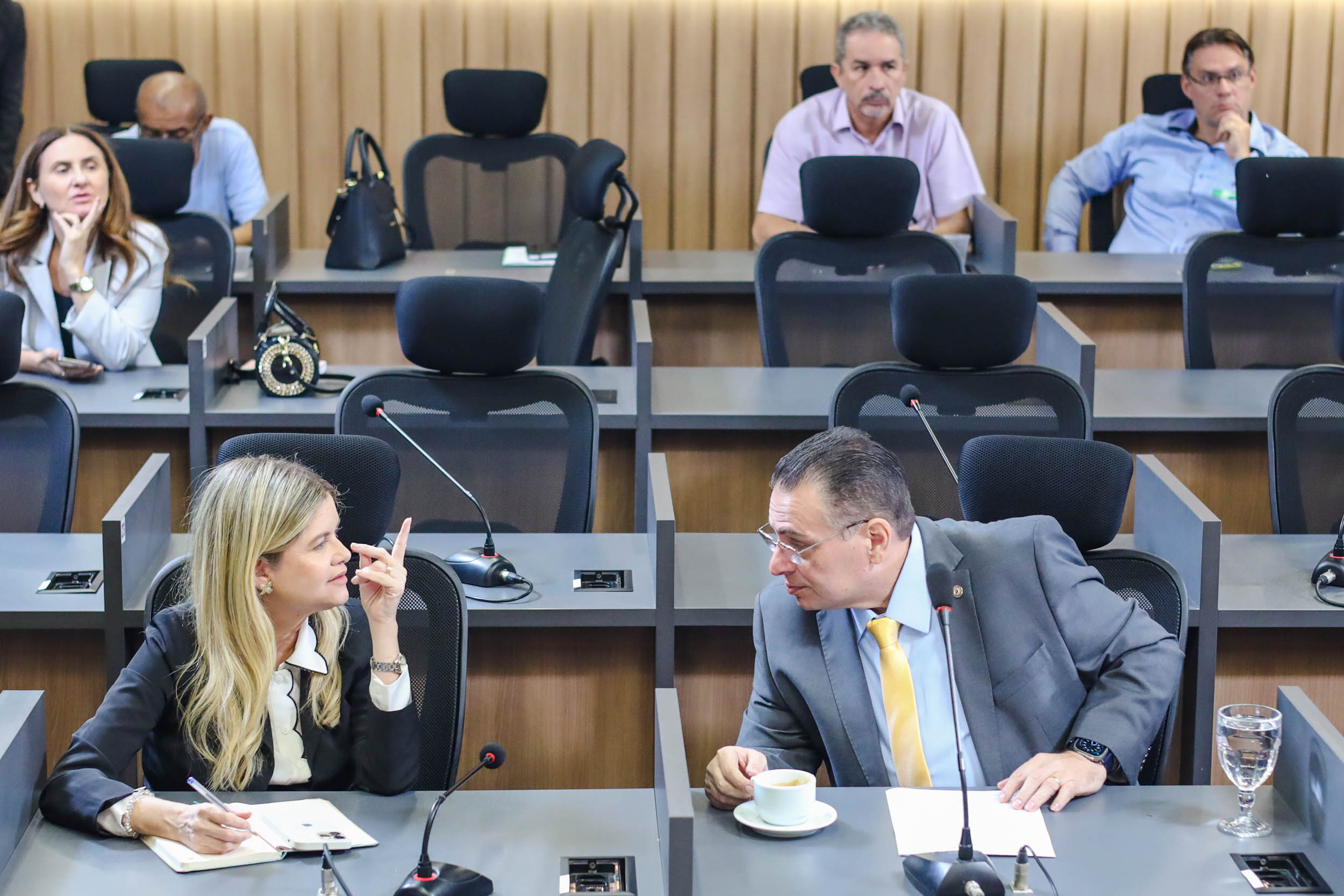 COMISSÃO DE CONSTITUIÇÃO E JUSTIÇA 01.07 (2).jpg