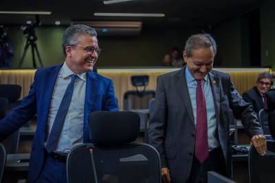 REUNIÃO DAS COMISSÕES CONJUNTAS 0.07 (13).jpg