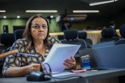 REUNIÃO DAS COMISSÕES CONJUNTAS 0.07 (4).jpg