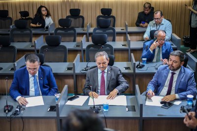 REUNIÃO DAS COMISSÕES CONJUNTAS 0.07 (7).jpg