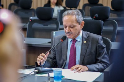 REUNIÃO DAS COMISSÕES CONJUNTAS 0.07 (8).jpg