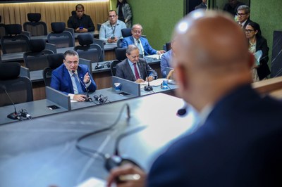 REUNIÃO DAS COMISSÕES CONJUNTAS 0.07 (9).jpg