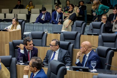 SESSÃO PLENÁRIA (11).jpg