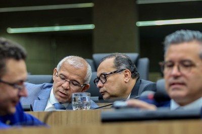 SESSÃO PLENÁRIA (24).jpg