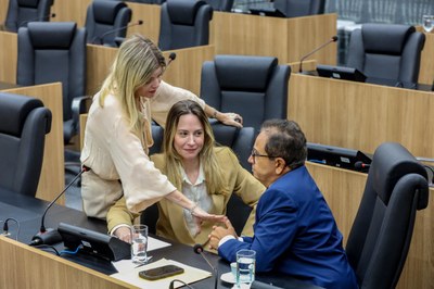 SESSÃO PLENÁRIA (5).jpg