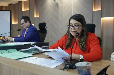 REUNIÃO COMISSÃO DE CONSTITUIÇÃO E JUSTIÇA  (2).jpg