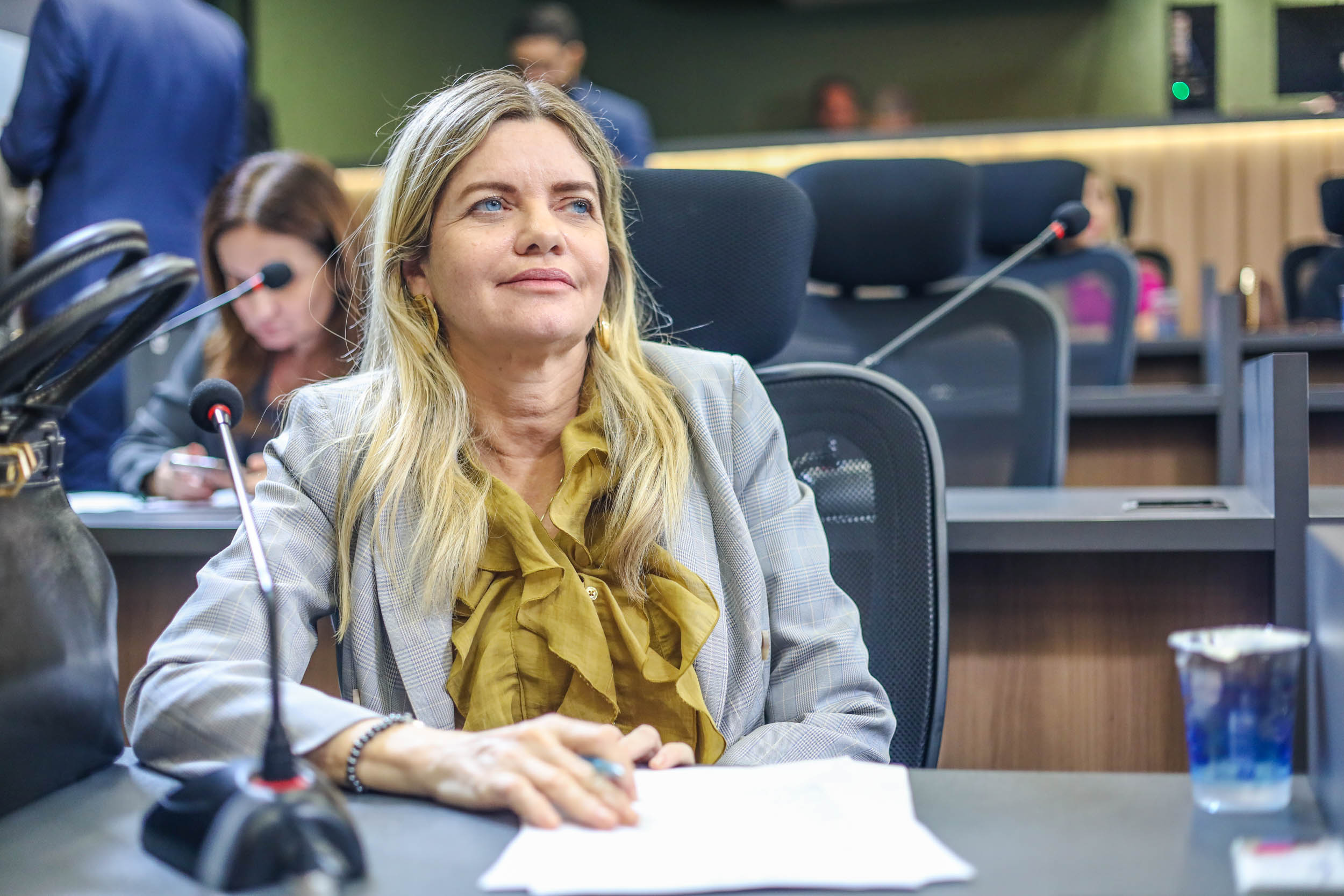 REUNIÃO DAS COMISSÕES CONJUNTAS (12).jpg