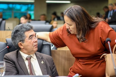 SESSÃO PLENÁRIA 09.07 (14).jpg