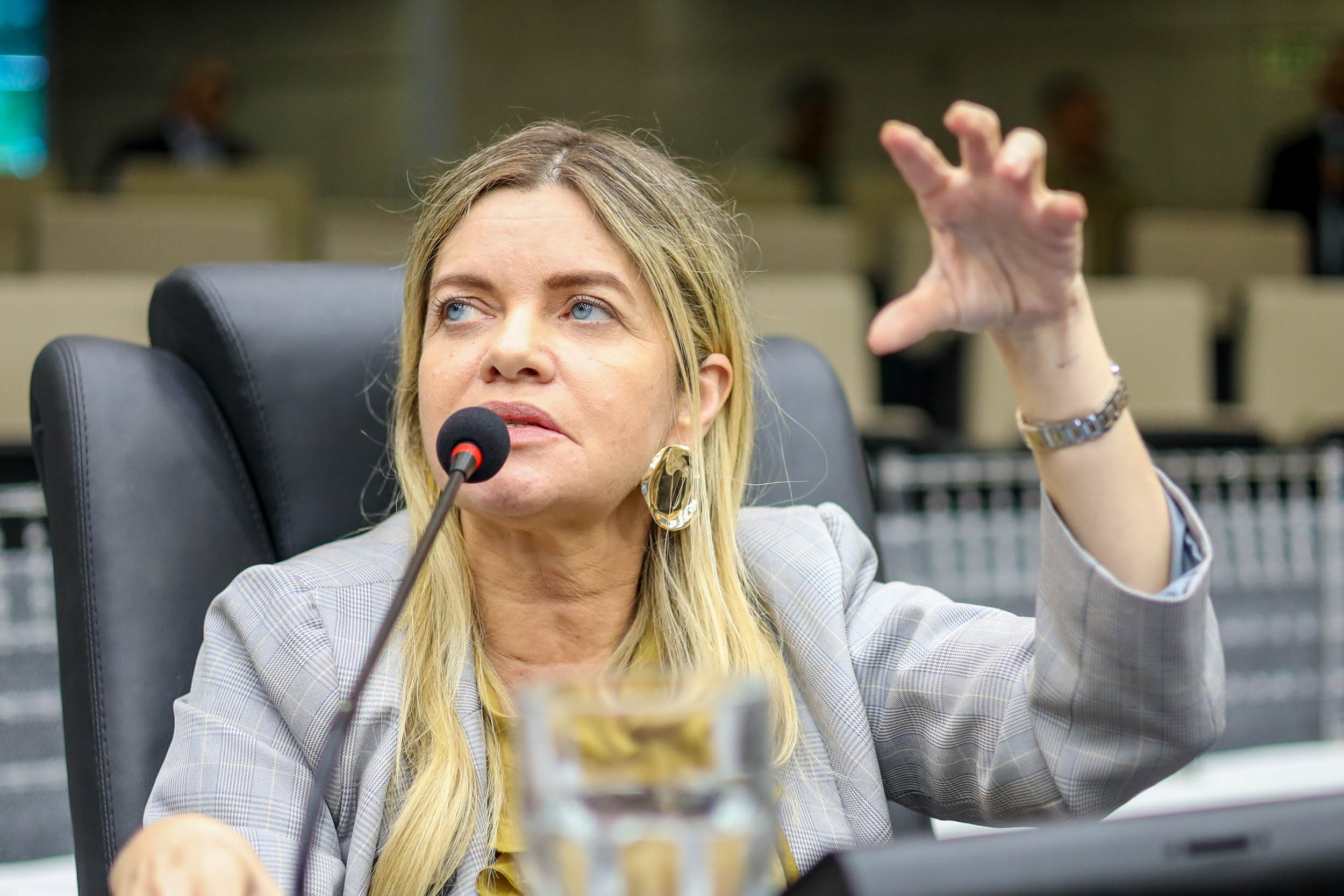 SESSÃO PLENÁRIA 09.07 (17) GRACINHA.jpg