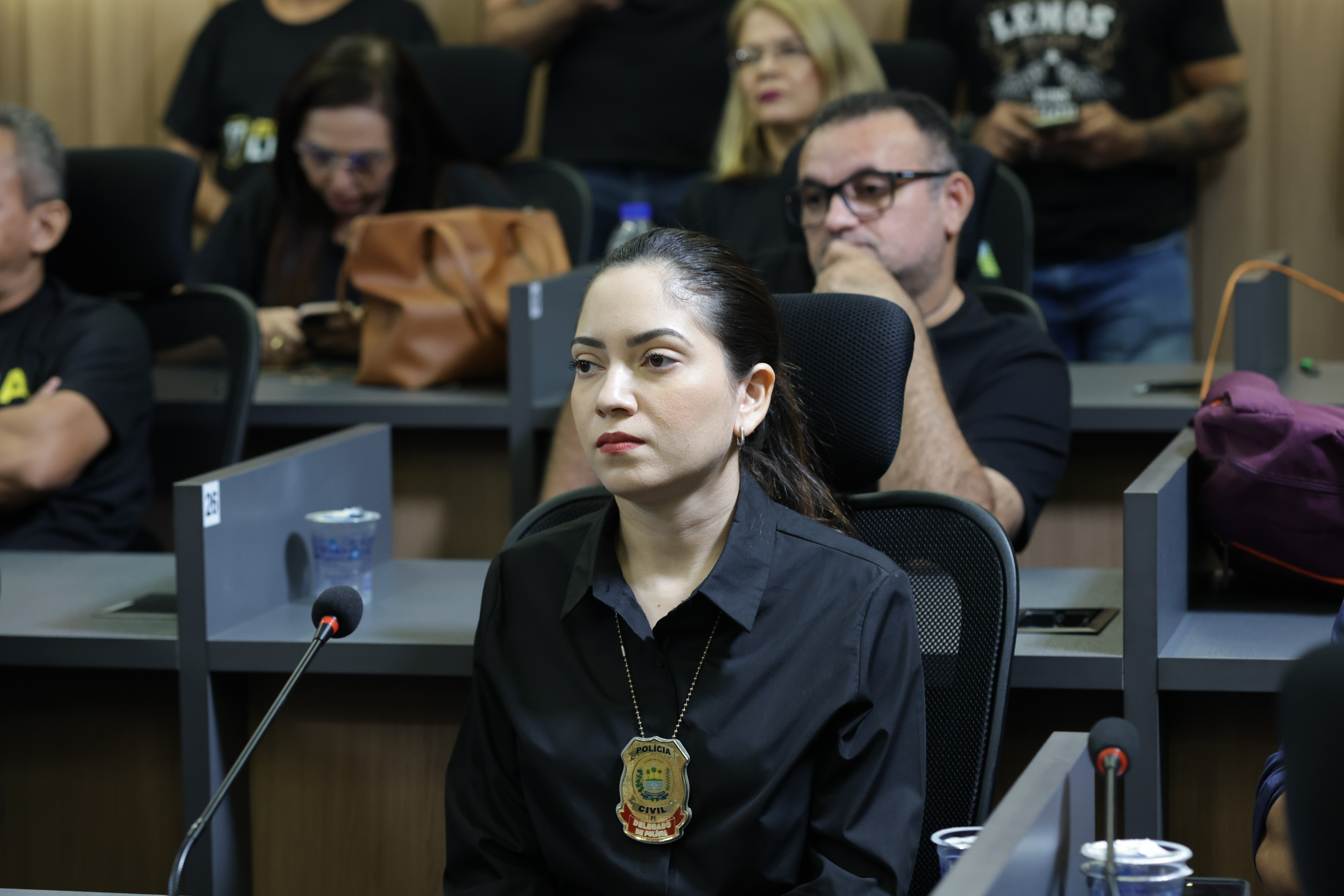 AUDIÊNCIA PÚBLICA PARA DEBATER A LEI ORGÂNICA NACIONAL DAS POLICIAS CIVIS (22).jpg