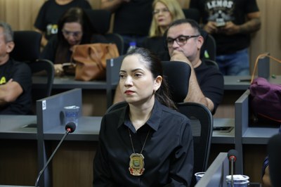AUDIÊNCIA PÚBLICA PARA DEBATER A LEI ORGÂNICA NACIONAL DAS POLICIAS CIVIS (22).jpg