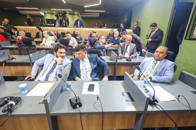 REUNIÃO DAS COMISSÕES CONJUNTAS (8).jpg