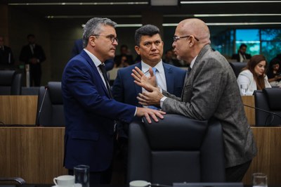 SESSÃO PLENÁRIA 15 (28).jpg