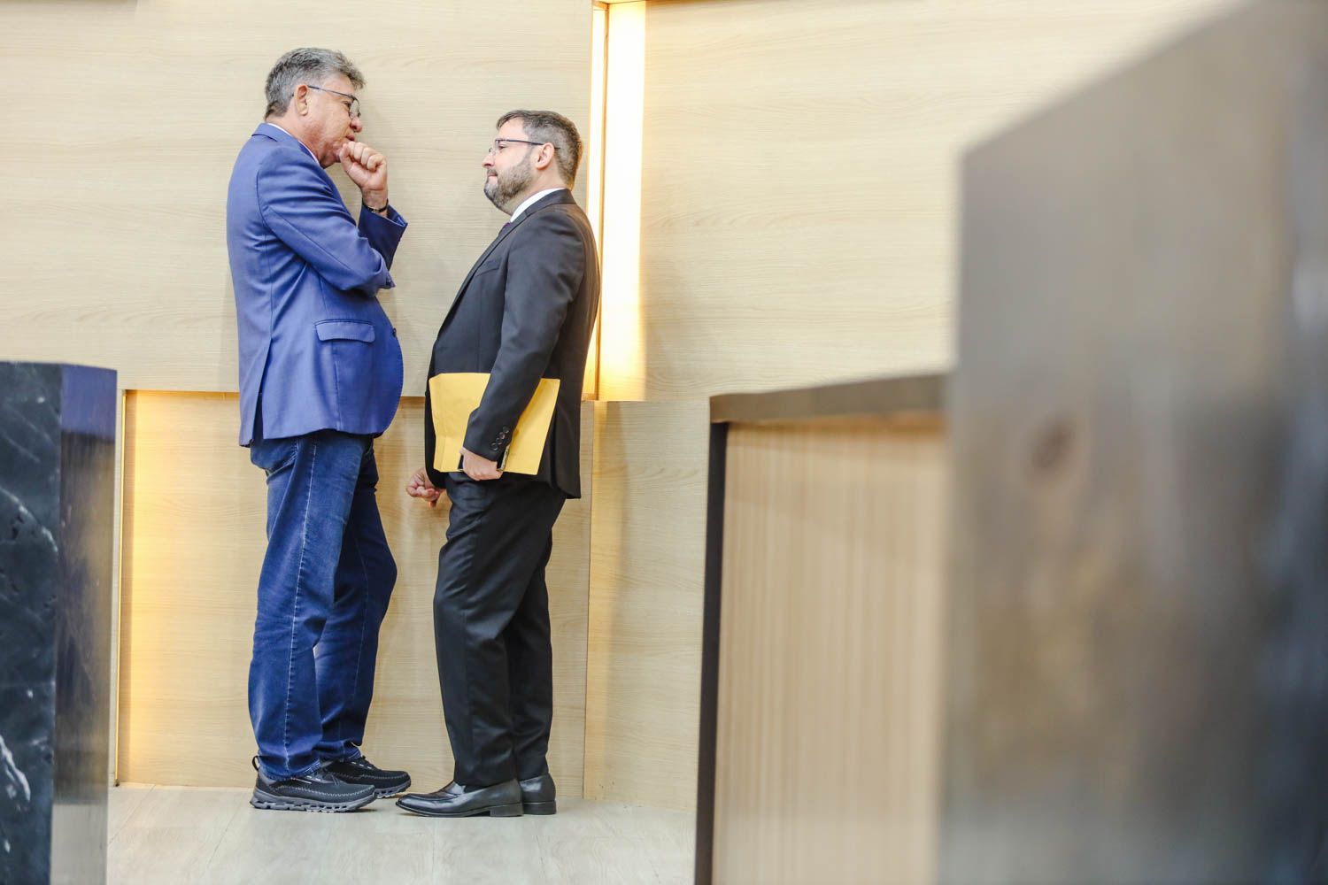 SESSÃO PLENÁRIA  (23) FABIO NOVO.jpg