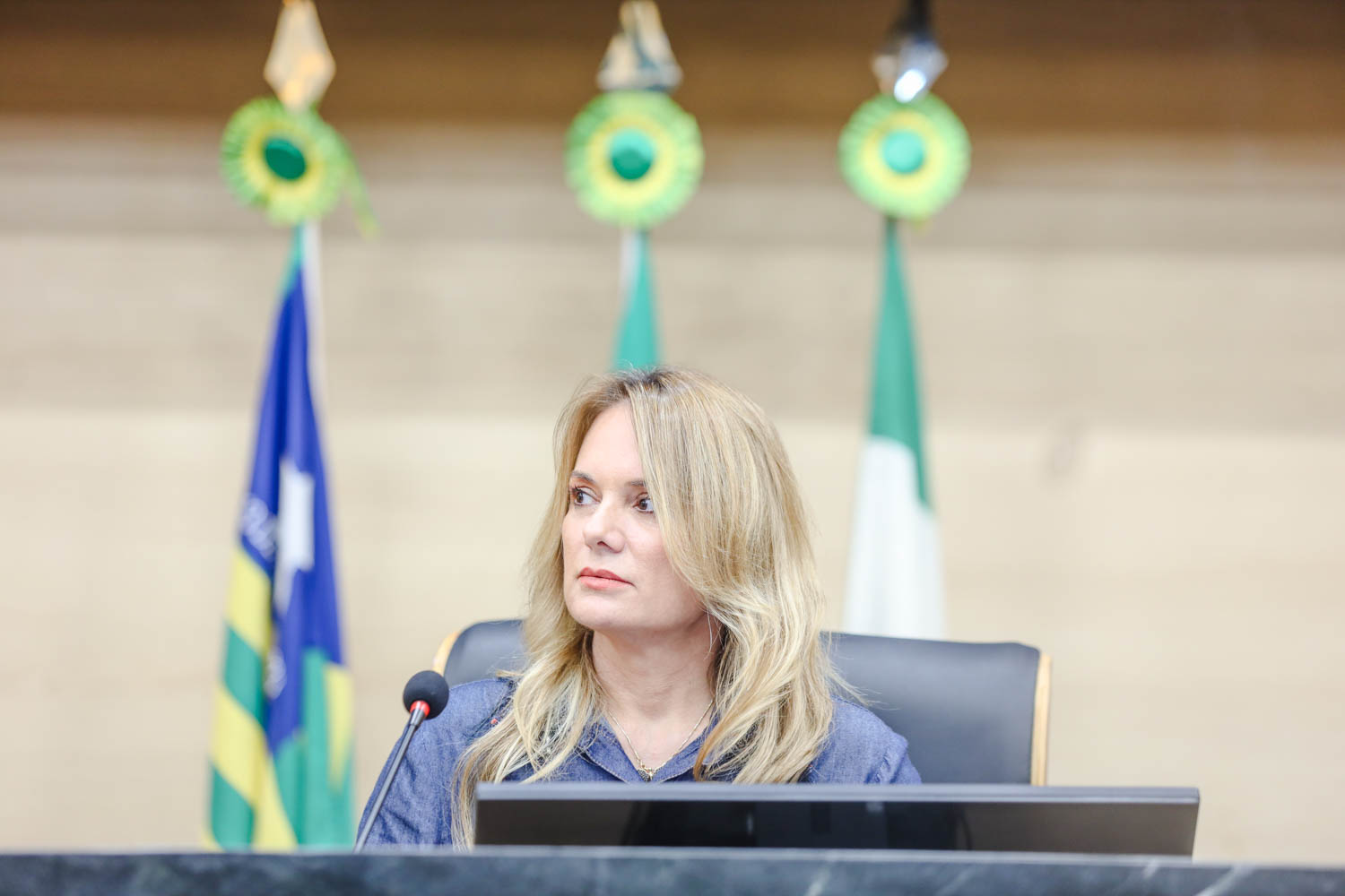 SESSÃO PLENÁRIA  (32) ANA PAULA.jpg