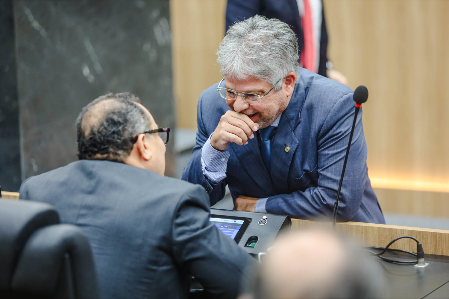 SESSÃO PLENÁRIA  (6).jpg