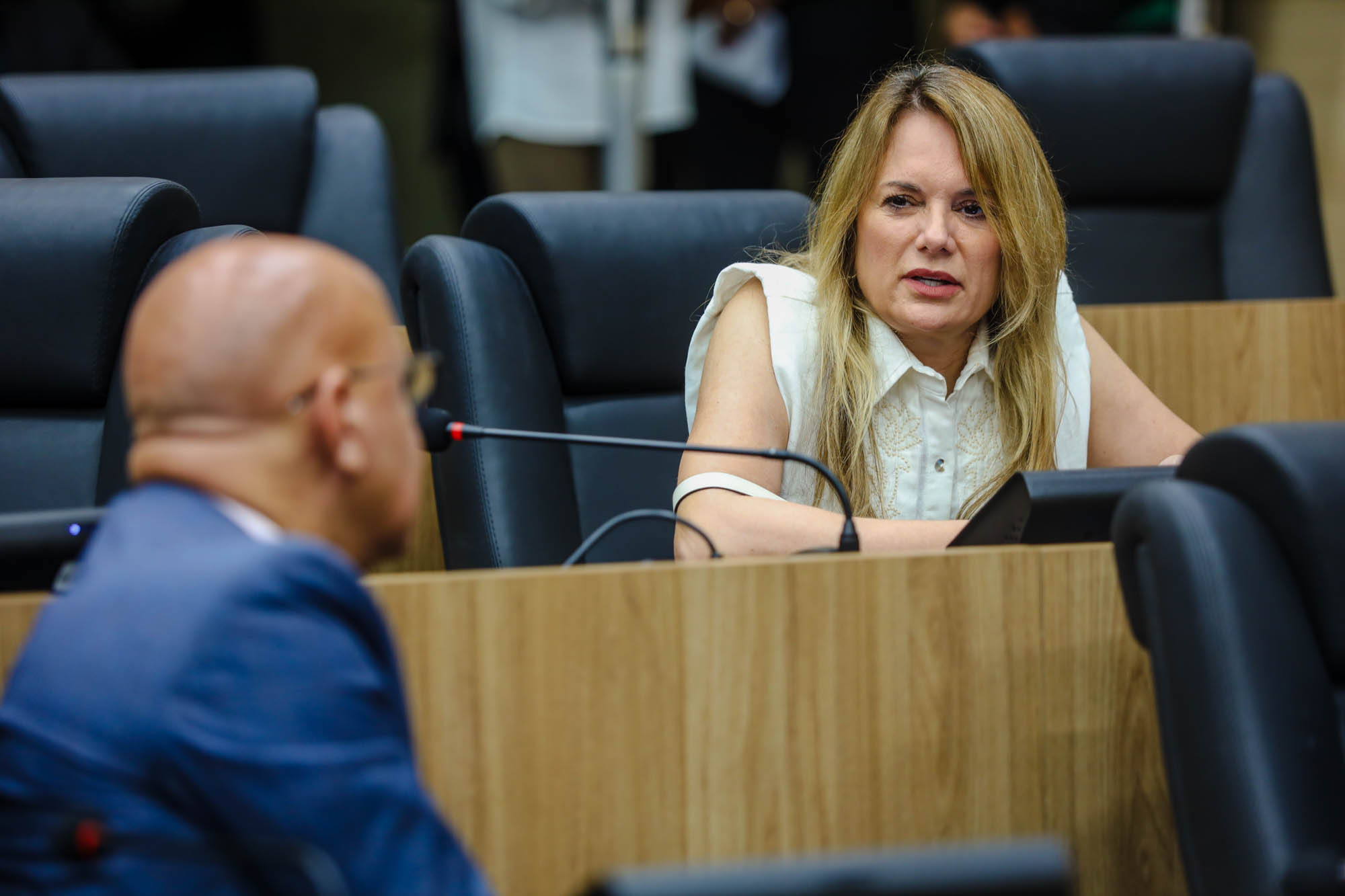 SESSÃO PLENÁRIA 17.06 (24).jpg