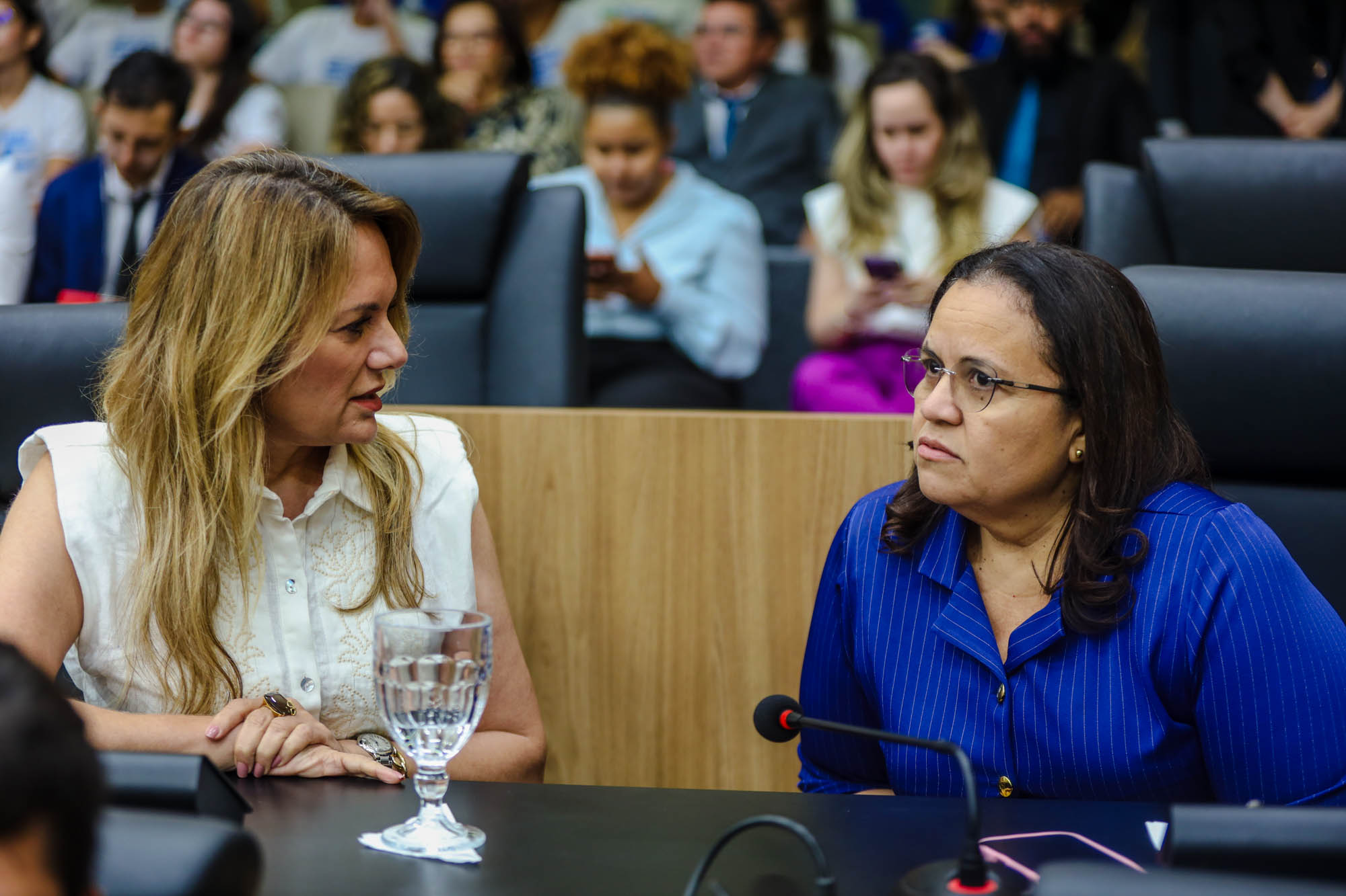 SESSÃO PLENÁRIA 17.06 (53).jpg