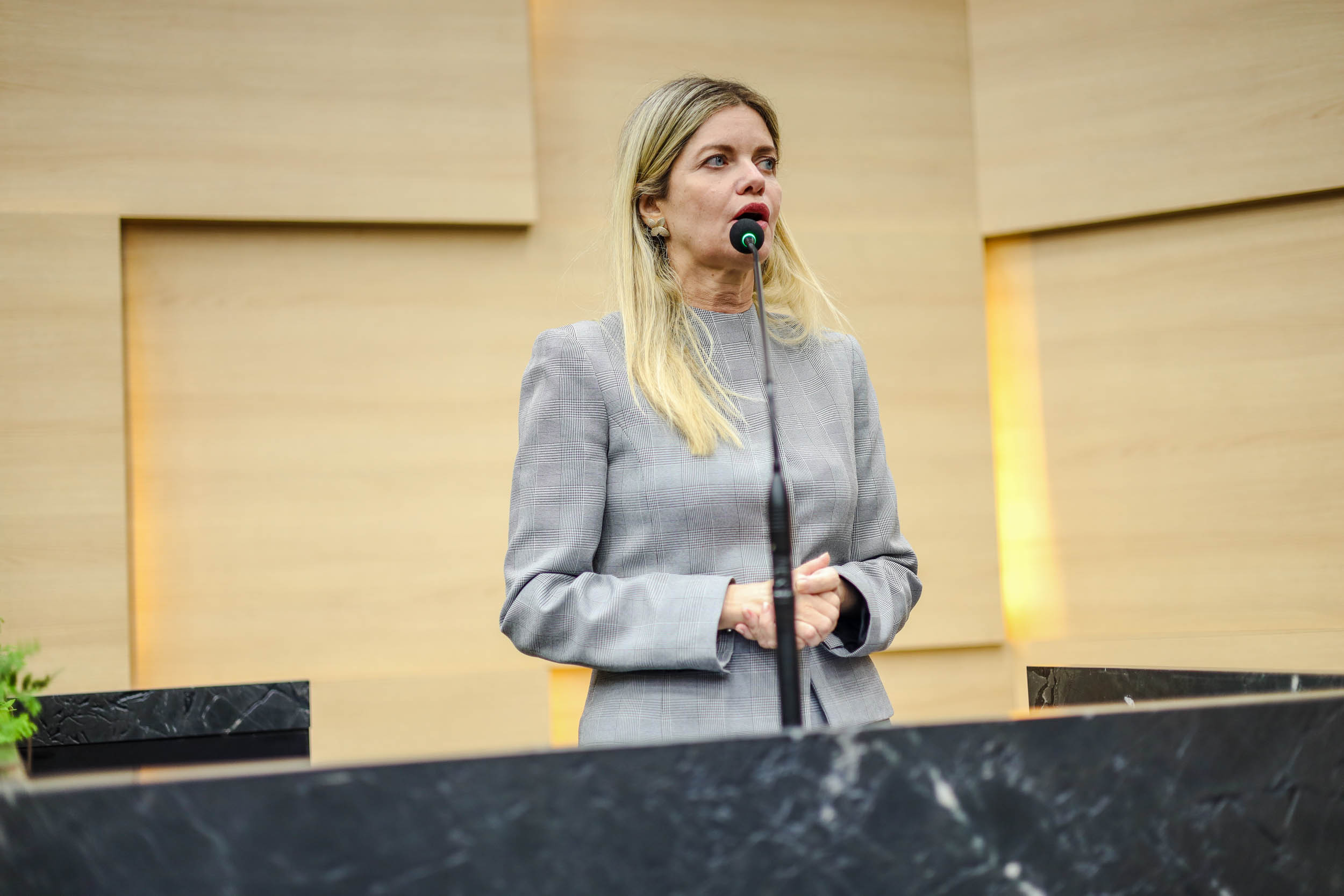 SESSÃO PLENÁRIA 24.06 (19).jpg