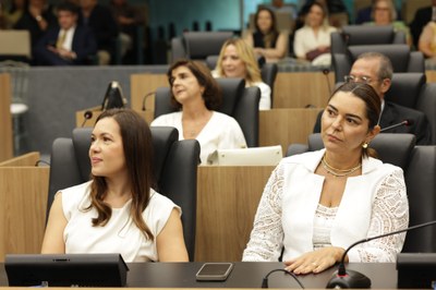 SESSÃO SOLENE MEDALHA DO MÉRITO LEGISLATIVO AO DR CHARLLES ANDERSON BOMFIM VELOSO (22).jpg