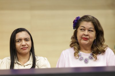 SESSÃO SOLENE PELO DIA ESTADUAL DO COMBATE AO FEMINICÍDIO (35).jpg SESSÃO SOLENE PELO DIA ESTADUAL DO COMBATE AO FEMINICÍDIO (35).jpg