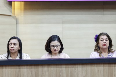 SESSÃO SOLENE PELO DIA ESTADUAL DO COMBATE AO FEMINICÍDIO (9).jpg SESSÃO SOLENE PELO DIA ESTADUAL DO COMBATE AO FEMINICÍDIO (9).jpg