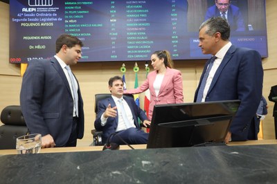 SESSÃO PLENÁRIA 06.05 (26).jpeg