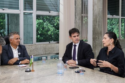 REUNIÃO UESPI (4).jpg